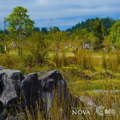 Venta Terreno Puerto Varas - Los Lagos