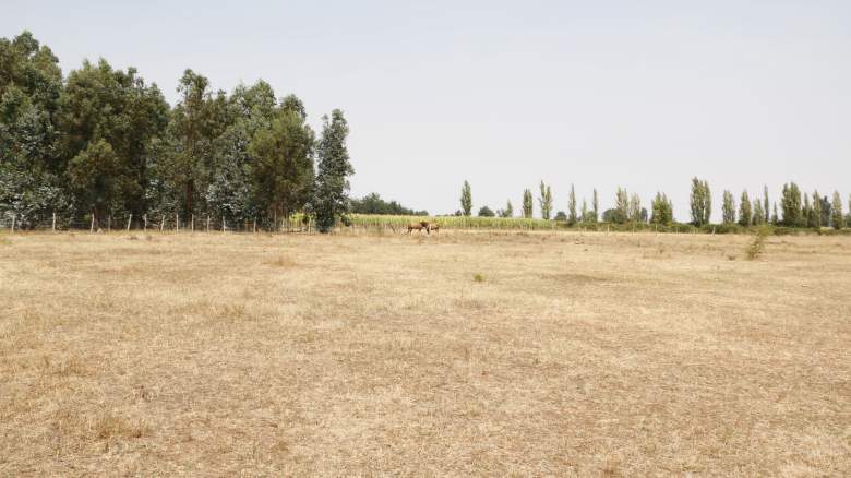 Venta Terreno Retiro - Maule