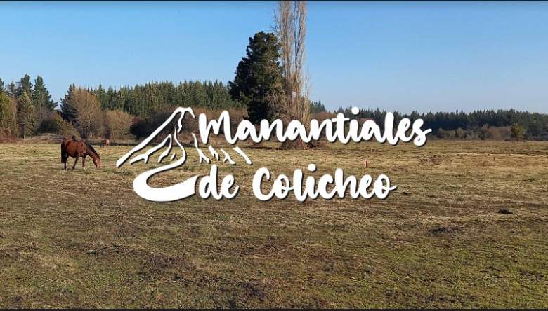 Venta Terreno Cabrero - Biobío