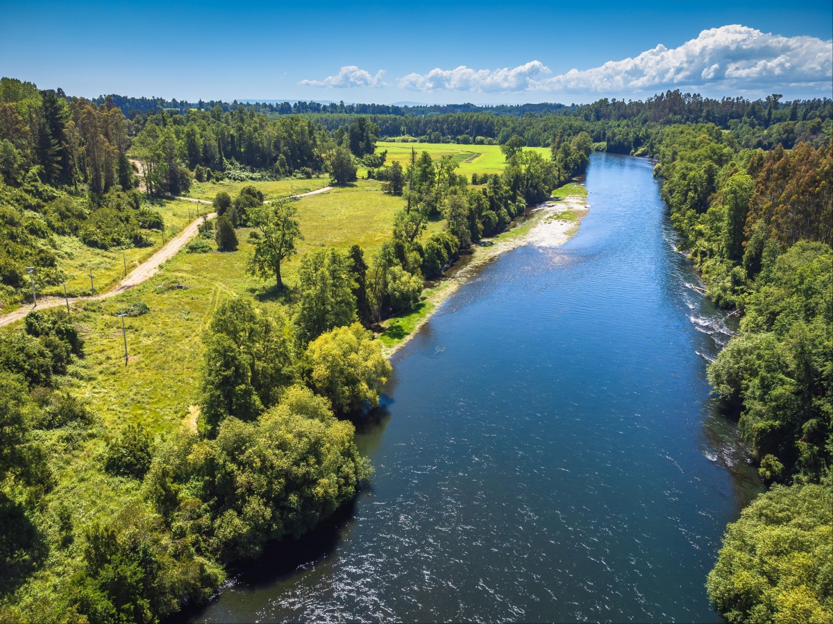 Venta Terreno Osorno - Los Lagos