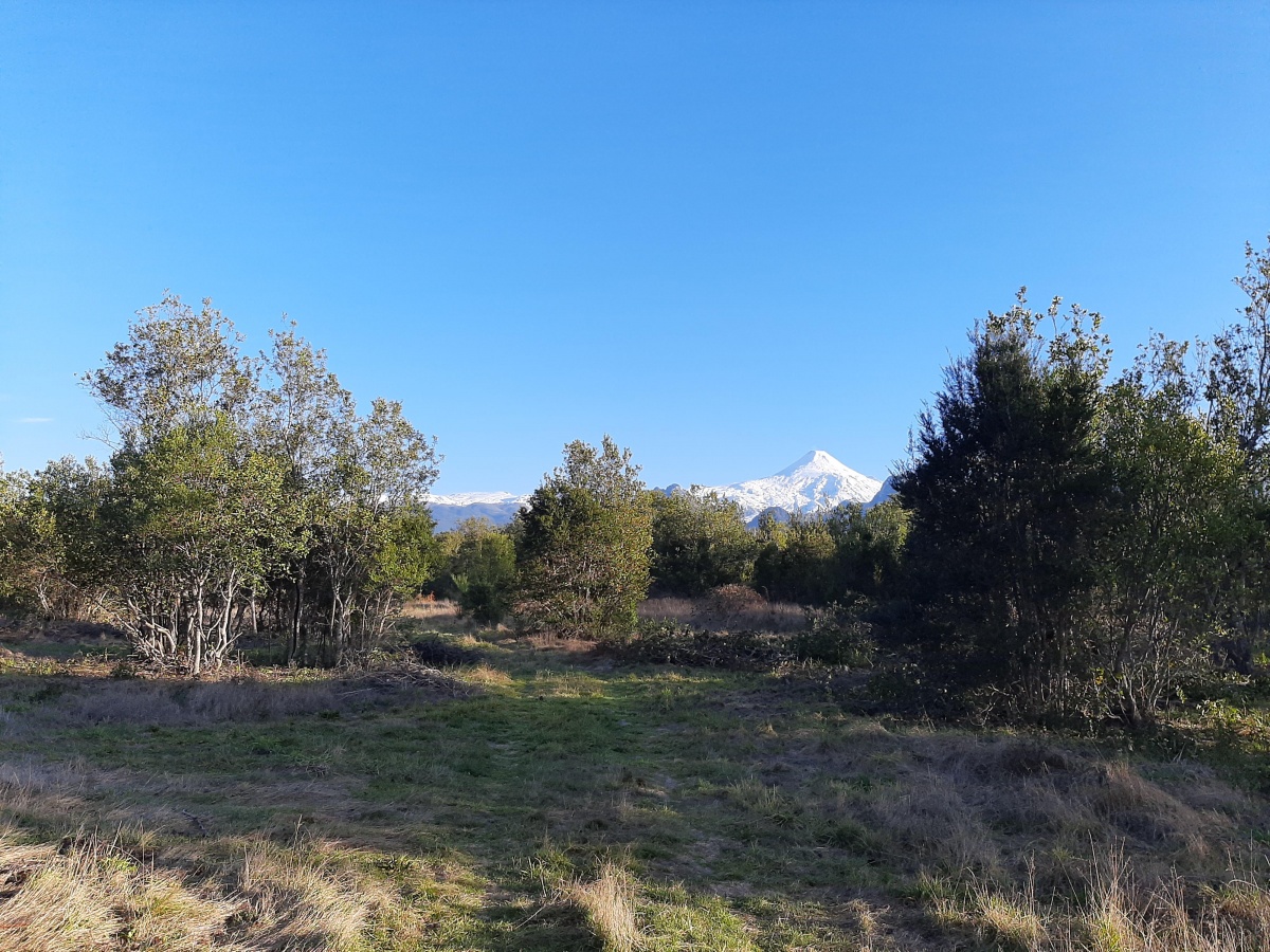 Venta Parcela Pucón - La Araucanía
