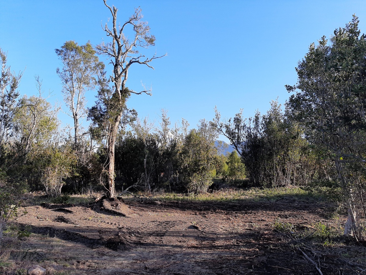 Venta Parcela Pucón - La Araucanía