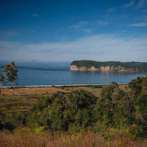 Venta Agrícola Maullín - Los Lagos