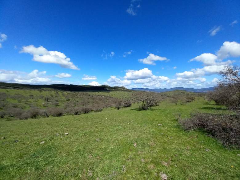 Venta Terreno Hualañé - Maule