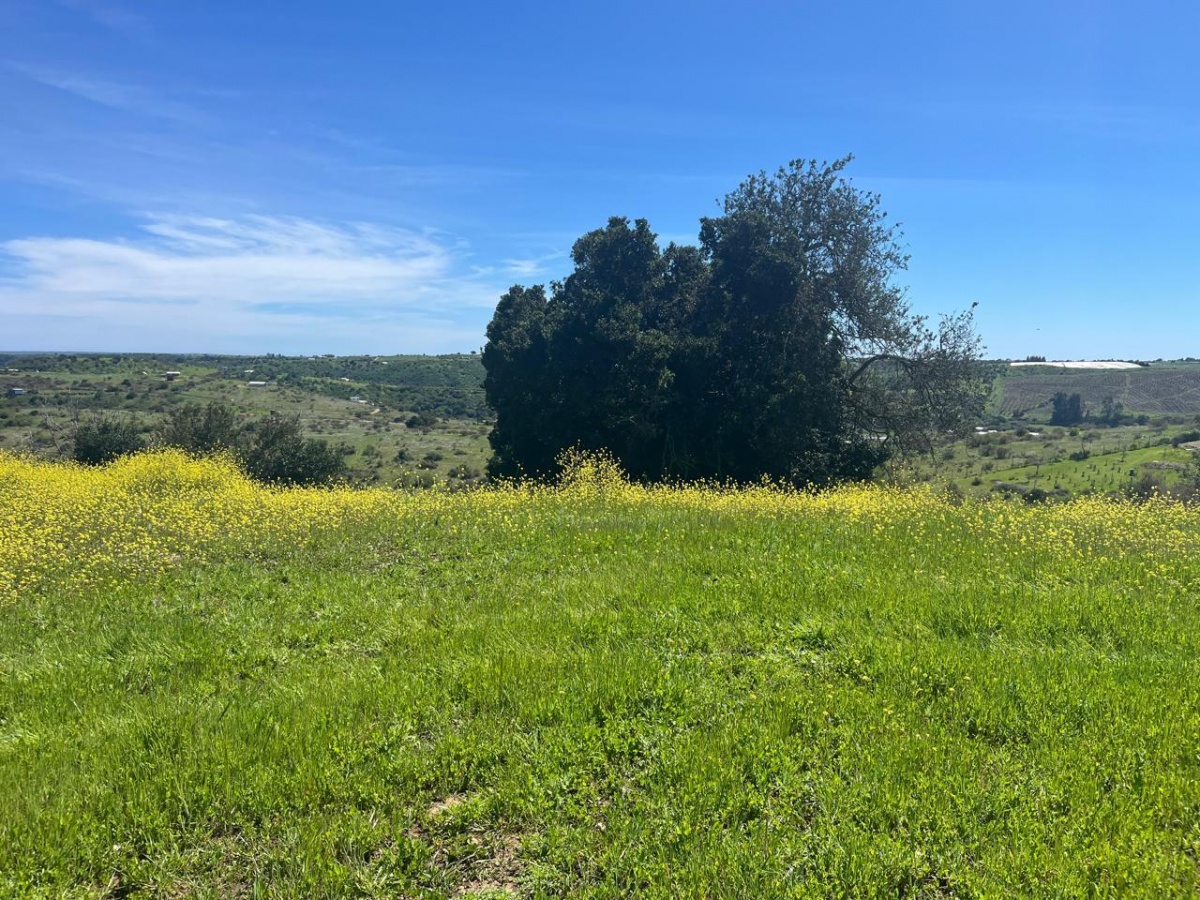 Venta Terreno Santo Domingo - Valparaíso