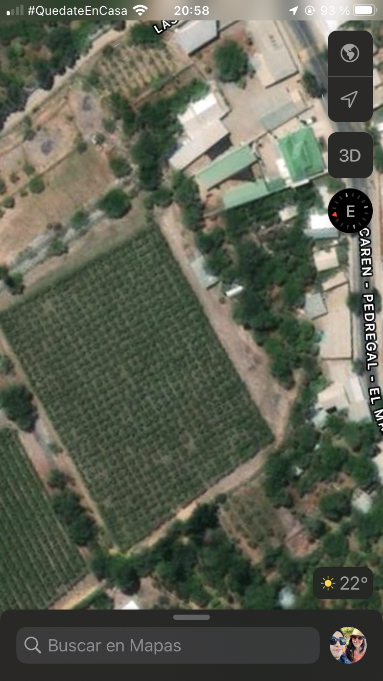 Venta Agrícola Monte patria - Coquimbo
