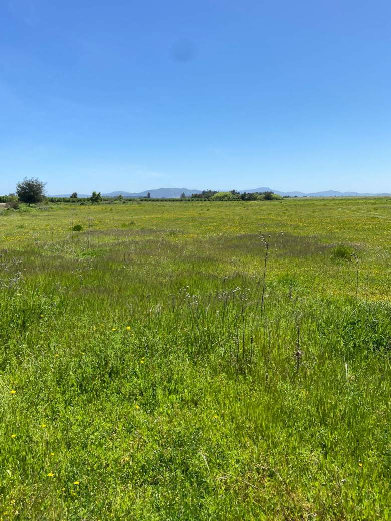 Venta Agrícola Retiro - Maule