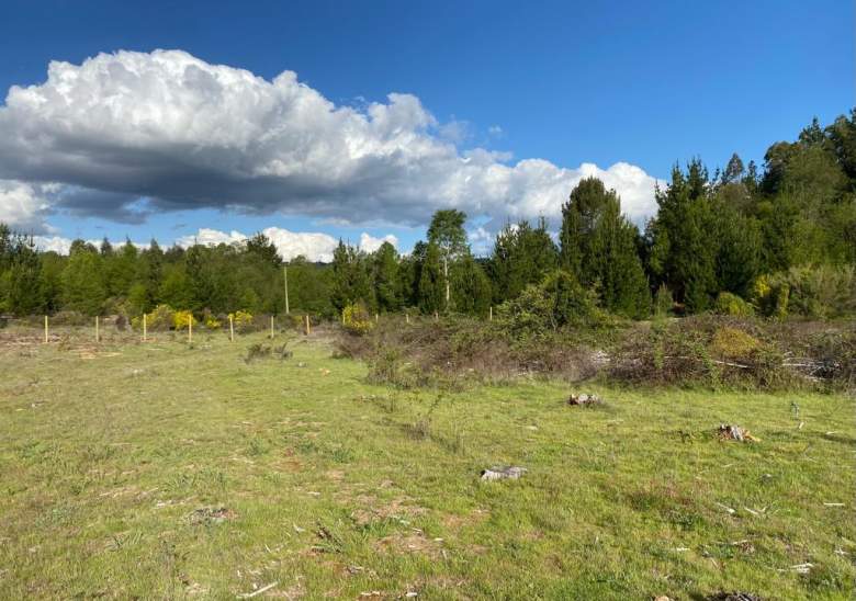 Venta Terreno Santa juana - Biobío