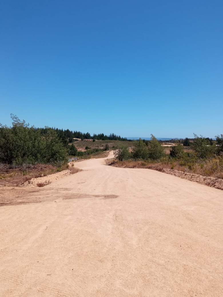 Venta Agrícola Bucalemu - O'Higgins