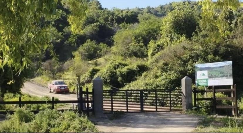 Venta Terreno Comalle - Maule