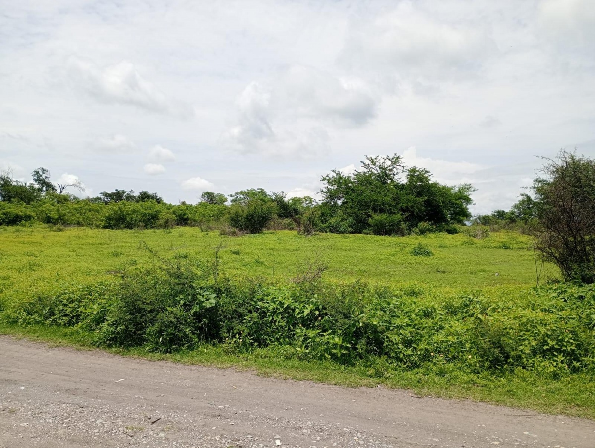 Venta Terreno / Lote Xoxocotla Centro - Xoxocotla