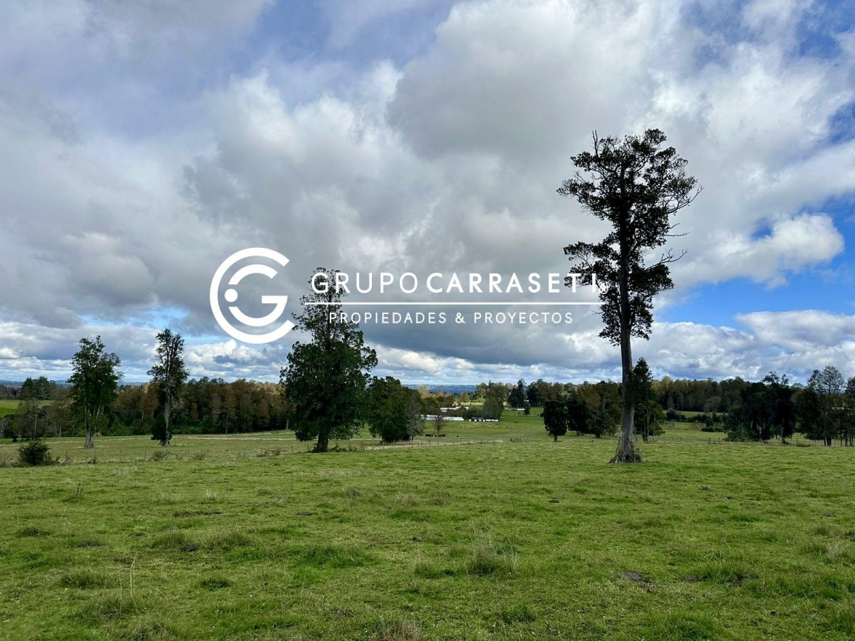 Venta Terreno Puerto Varas - Los Lagos