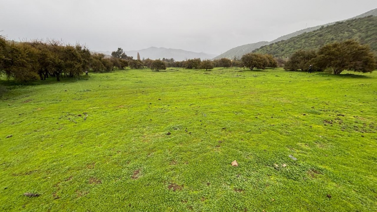 Venta Parcela Curacaví - Región Metropolitana