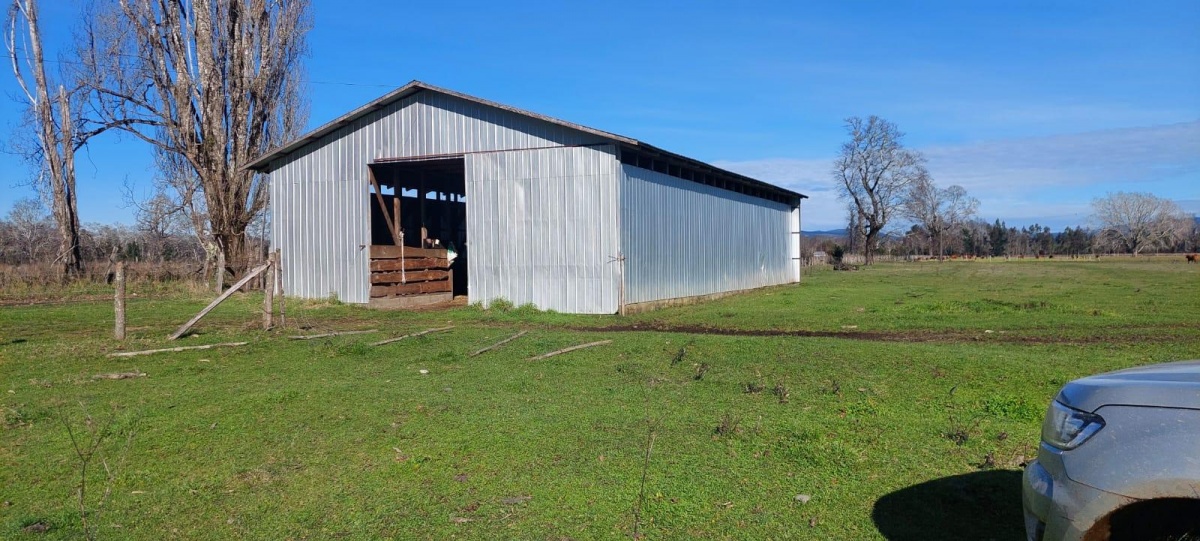 Venta Terreno Freire - La Araucanía
