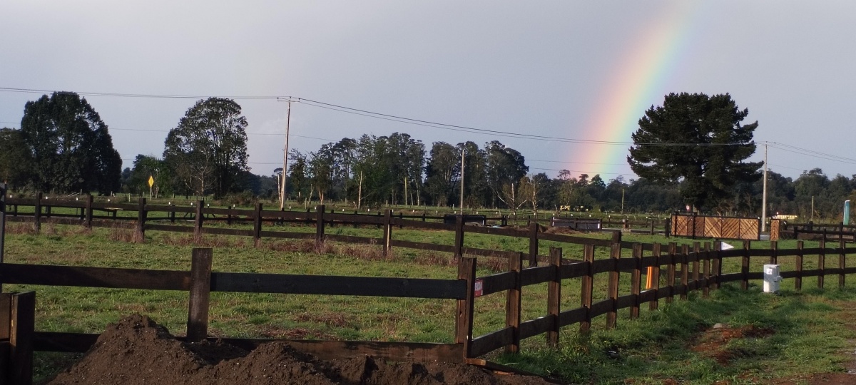 Venta Parcela Puerto Octay - Los Lagos