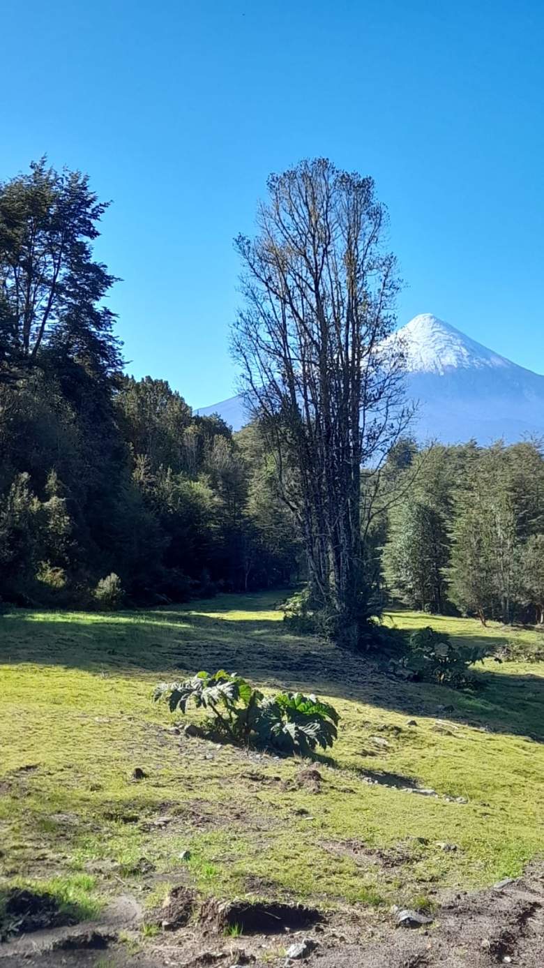 Venta Terreno Ensenada - Los Lagos