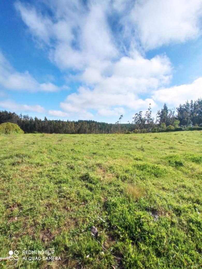 Venta Terreno Cobquecura - Ñuble