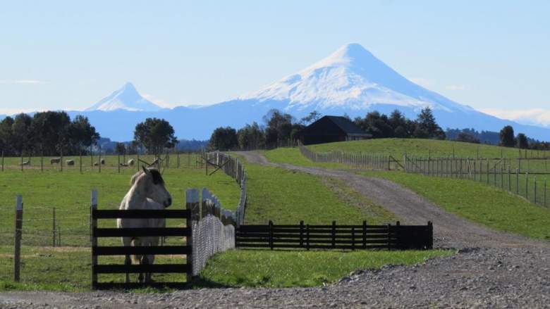 Venta Terreno Llanquihue - Los Lagos