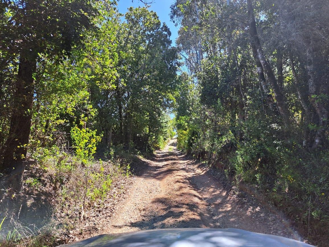 Venta Parcela Florida - Biobío