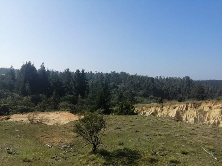 Venta Terreno Litueche - O'Higgins