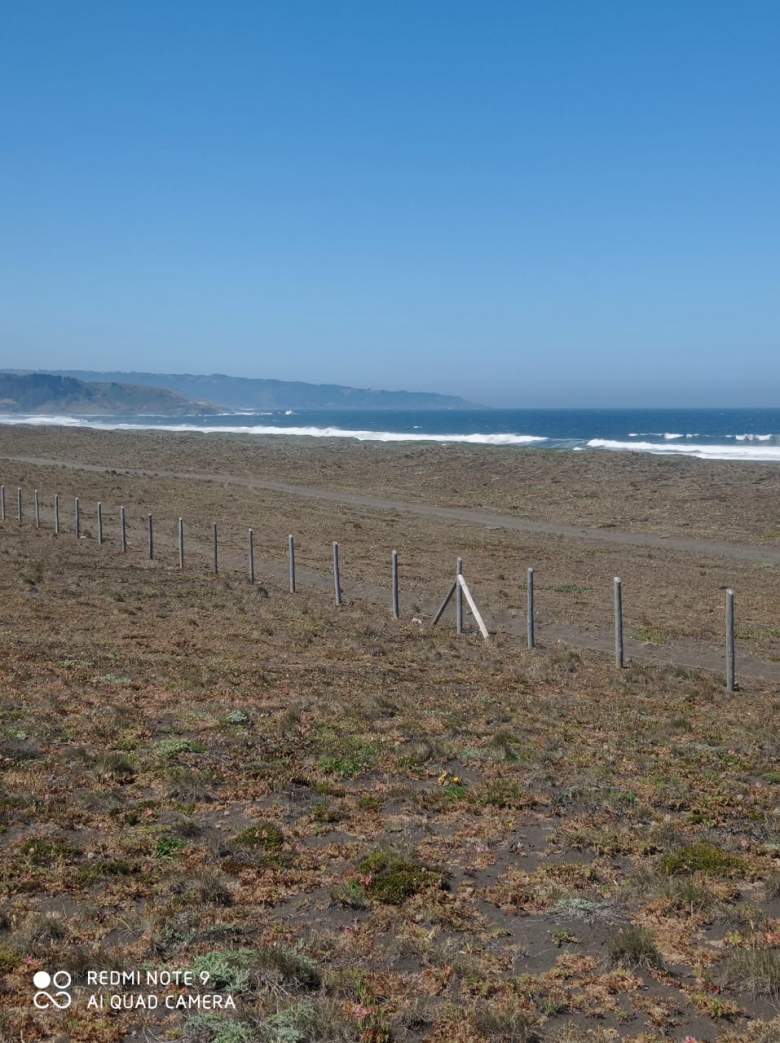 Venta Terreno Pelluhue - Maule
