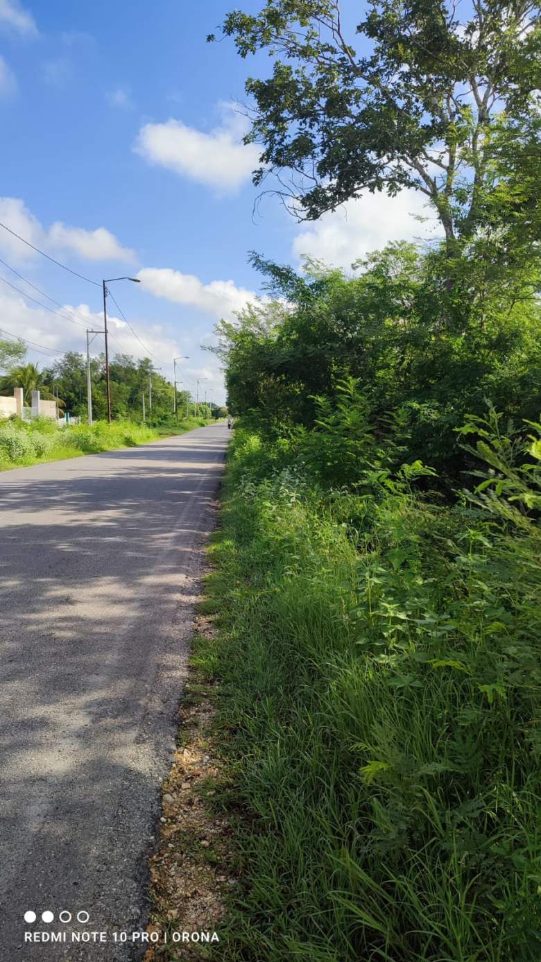 Venta Terreno / Lote Sahe - Tixpéhual