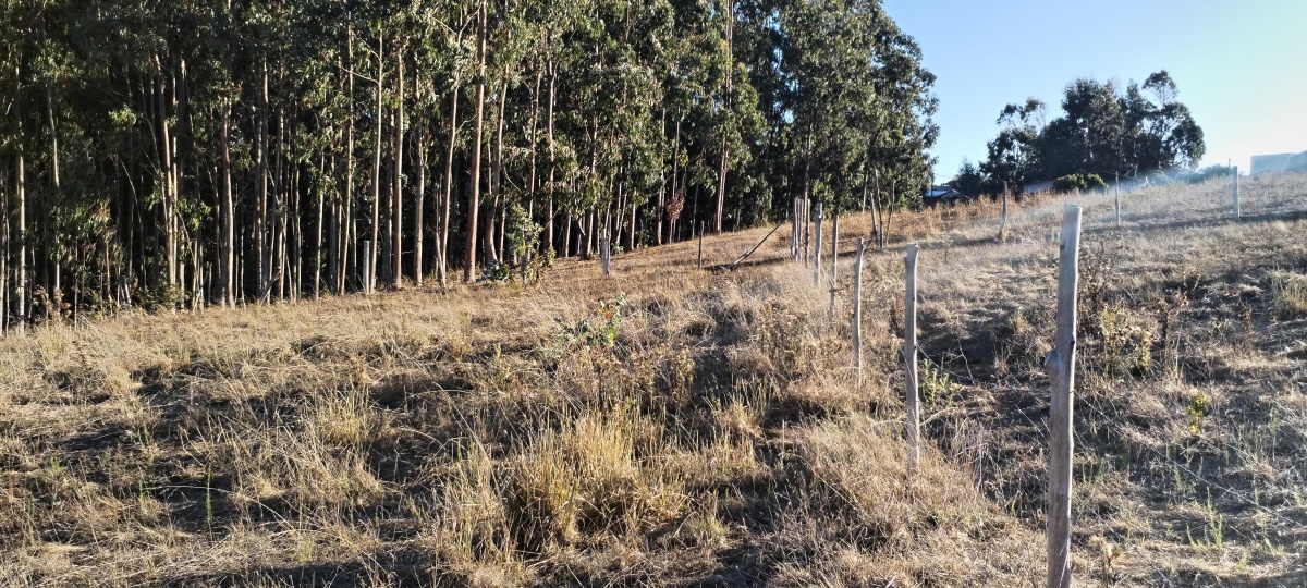 Venta Terreno Bucalemu - O'Higgins