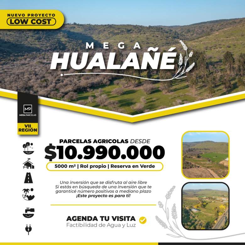 Venta Terreno Hualañé - Maule