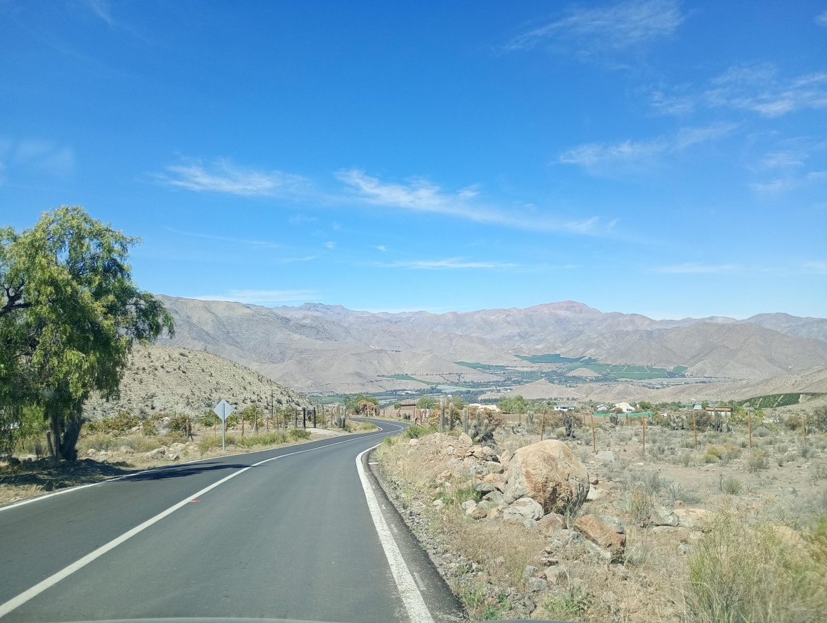 Venta Parcela Vicuña - Coquimbo