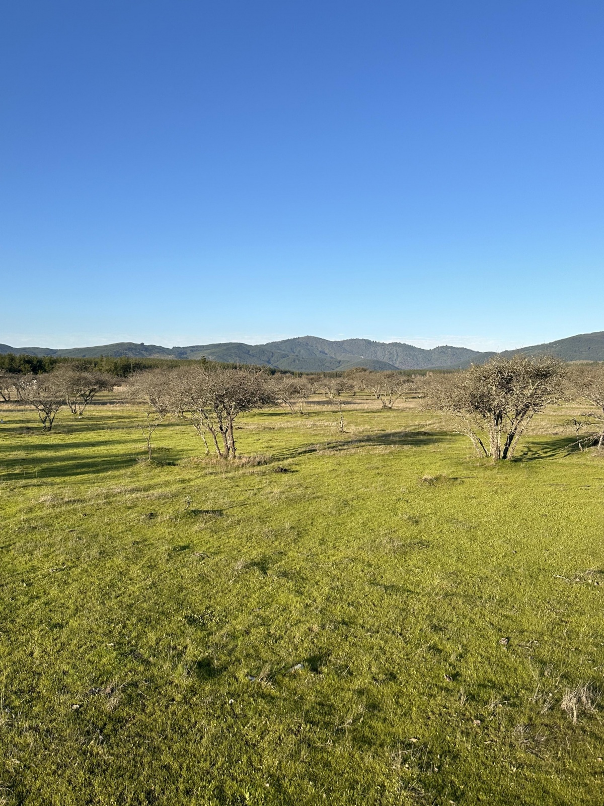 Venta Parcela San Javier - Maule