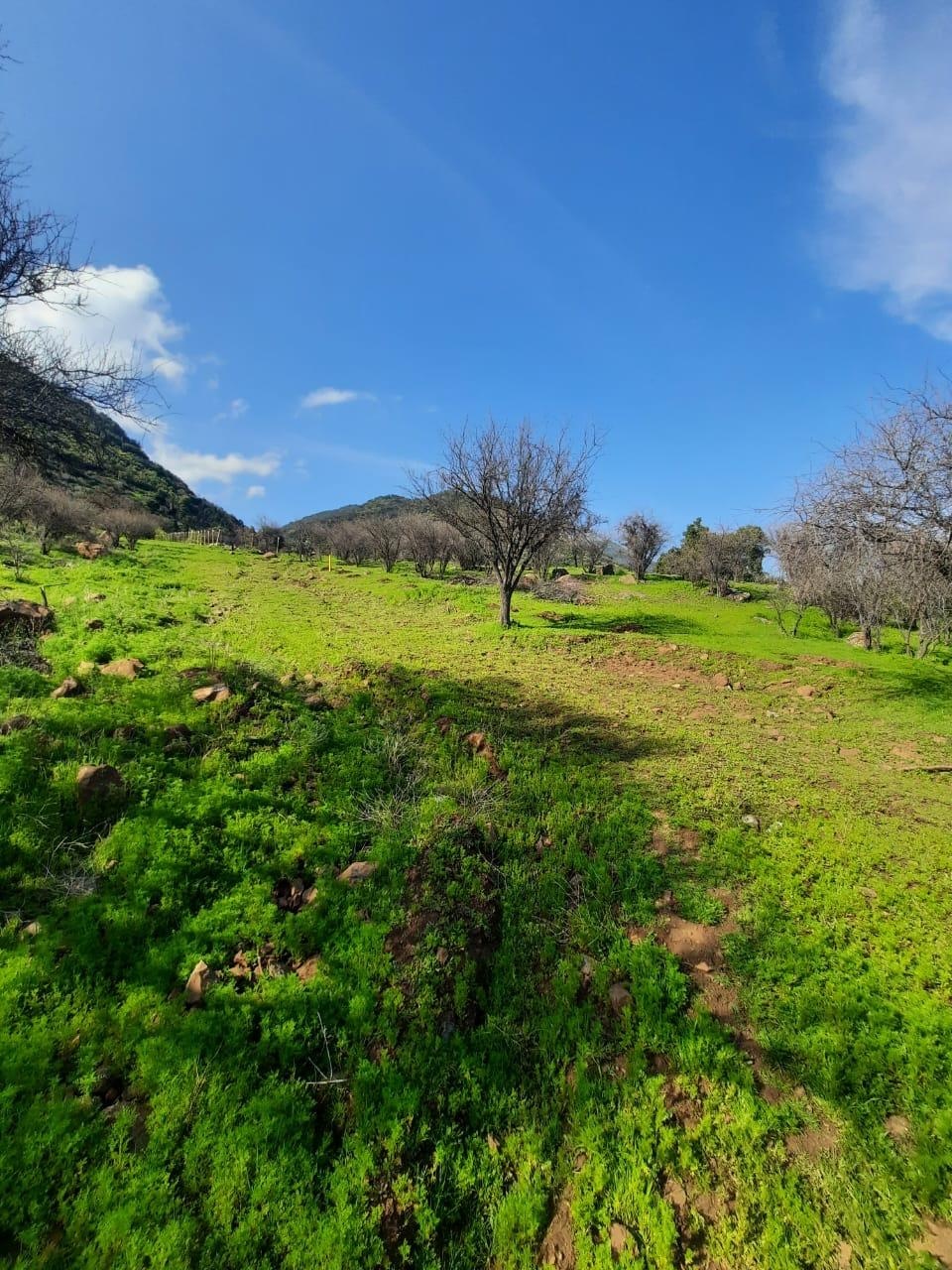 Venta Terreno San Fernando - O'Higgins