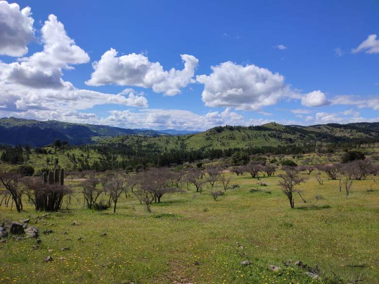 Venta Terreno Hualañé - Maule