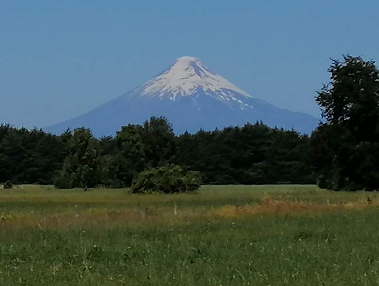 Venta Agrícola Purranque - Los Lagos