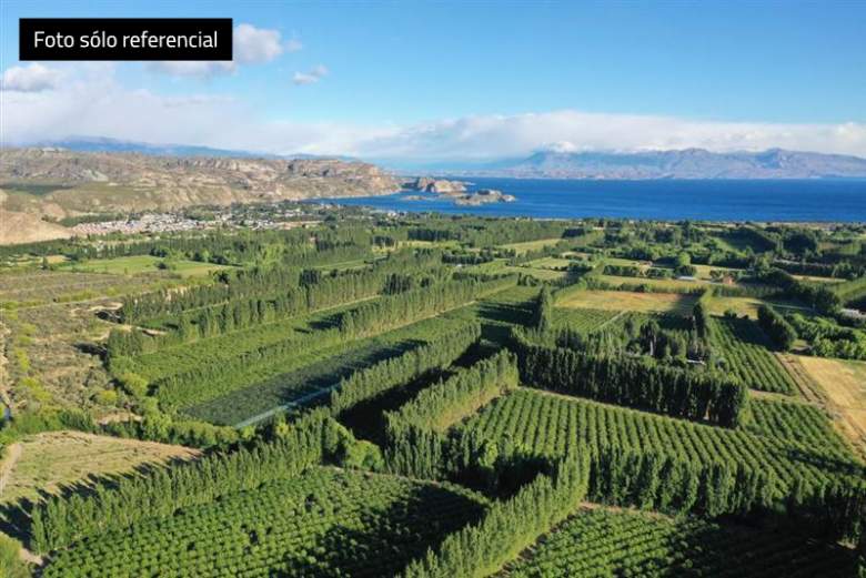 Venta Agrícola Chile chico - Aysén