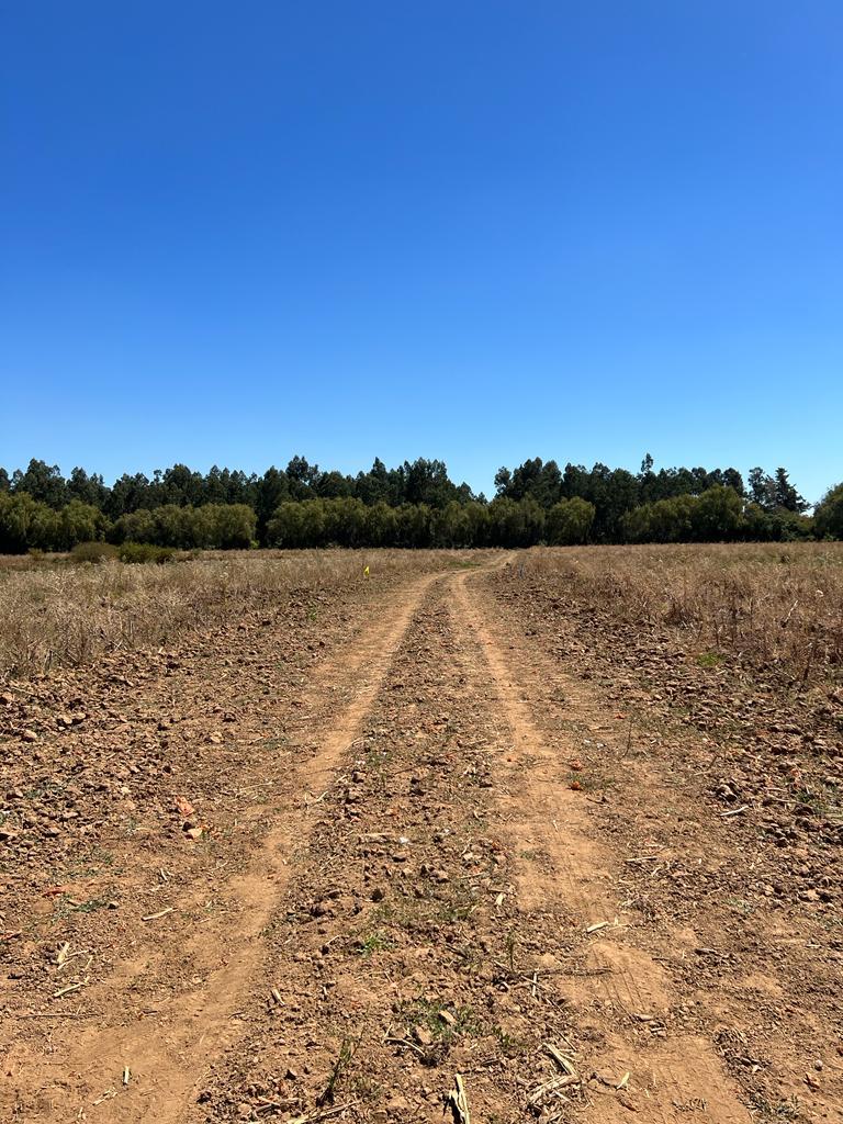 Venta Terreno Pelarco - Maule