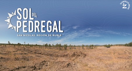 Venta Terreno San nicolás - Ñuble
