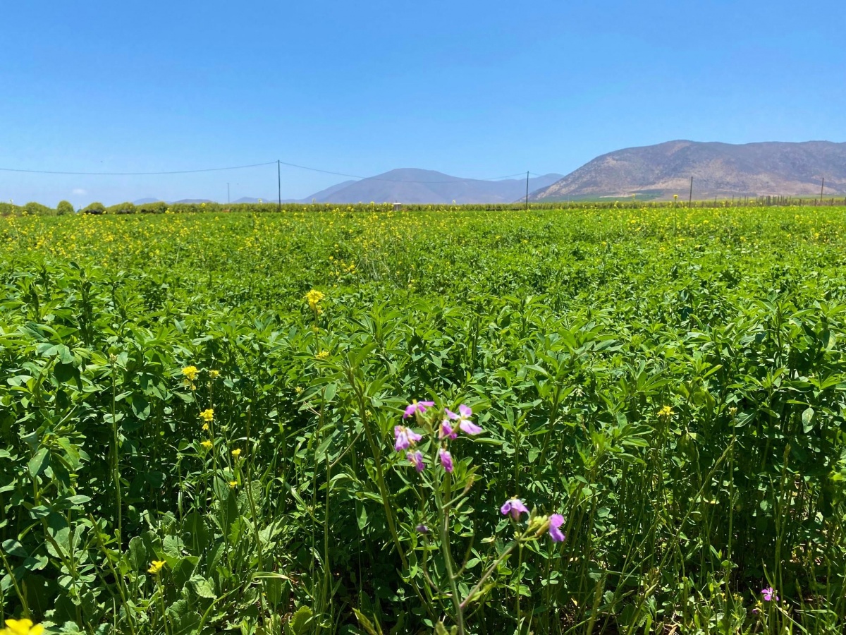 Venta Terreno La Serena - Coquimbo