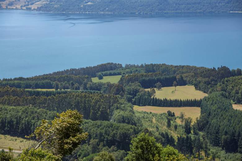 Venta Terreno Los lagos - Los Ríos