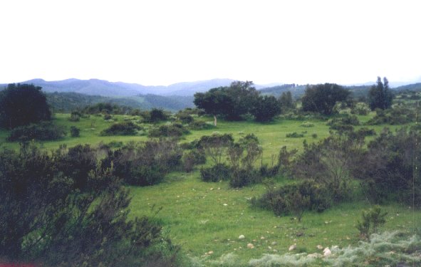 Venta Agrícola Cartagena - Valparaíso