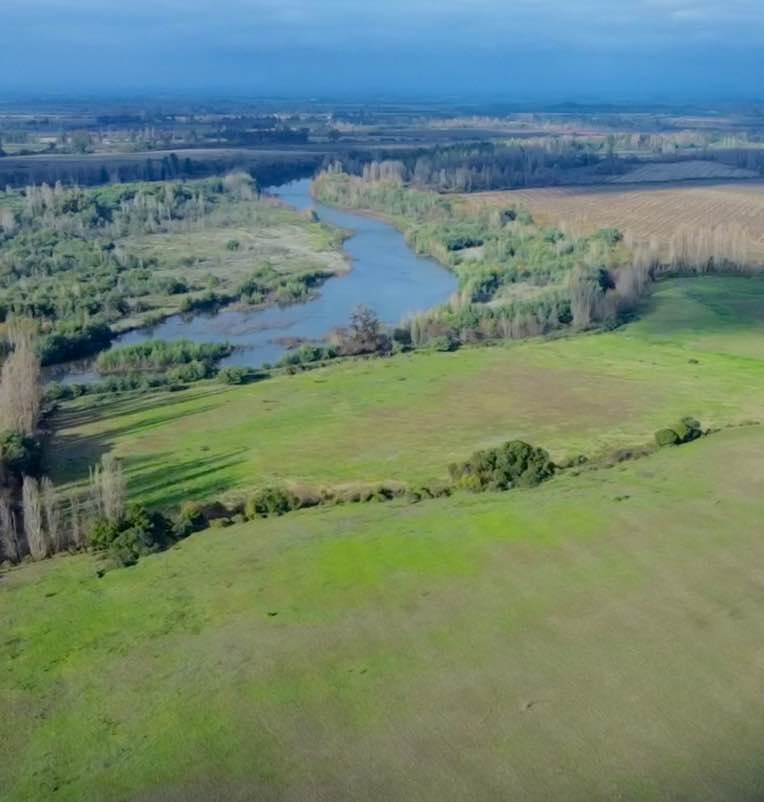 Venta Agrícola Retiro - Maule