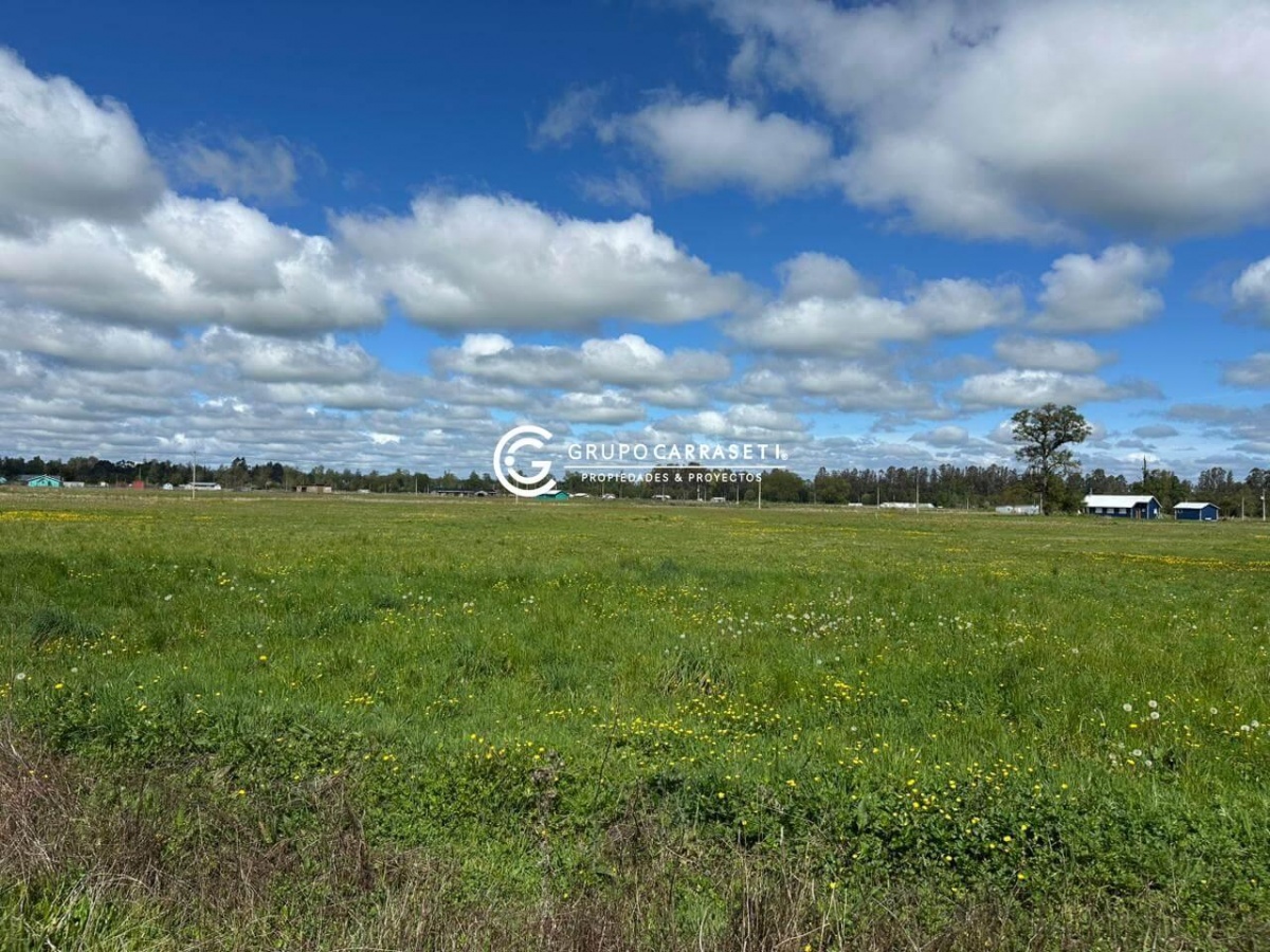 Venta Terreno Osorno - Los Lagos