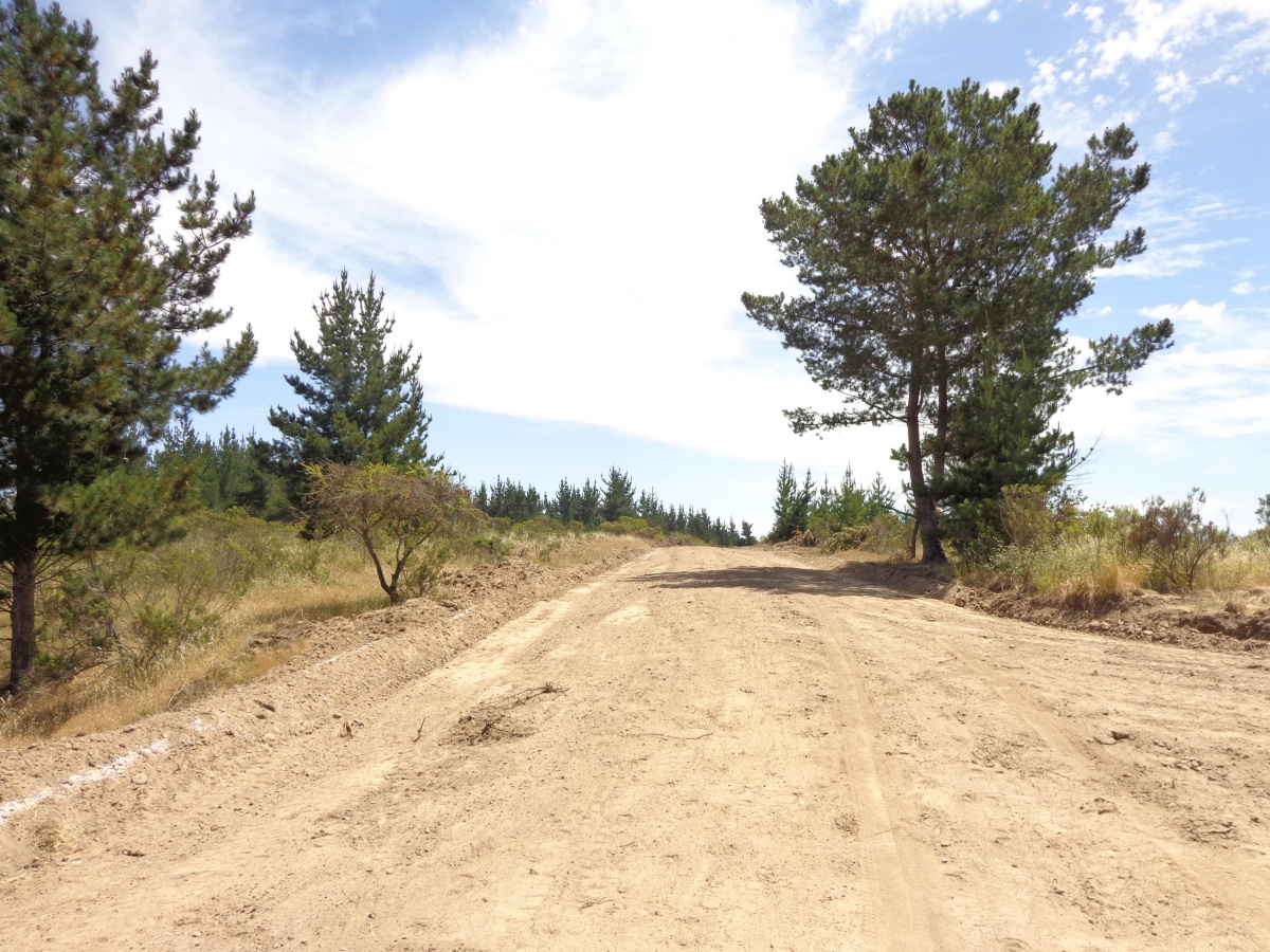 Venta Parcela Santo Domingo - Valparaíso