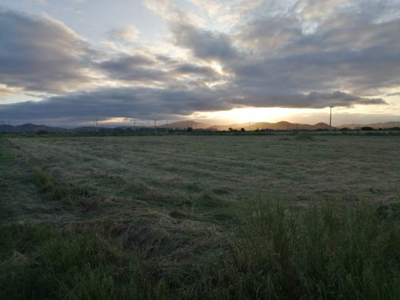 Venta Terreno Peralillo - O'Higgins