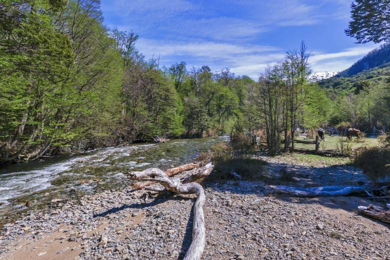 Venta Terreno Aysén - Aysén