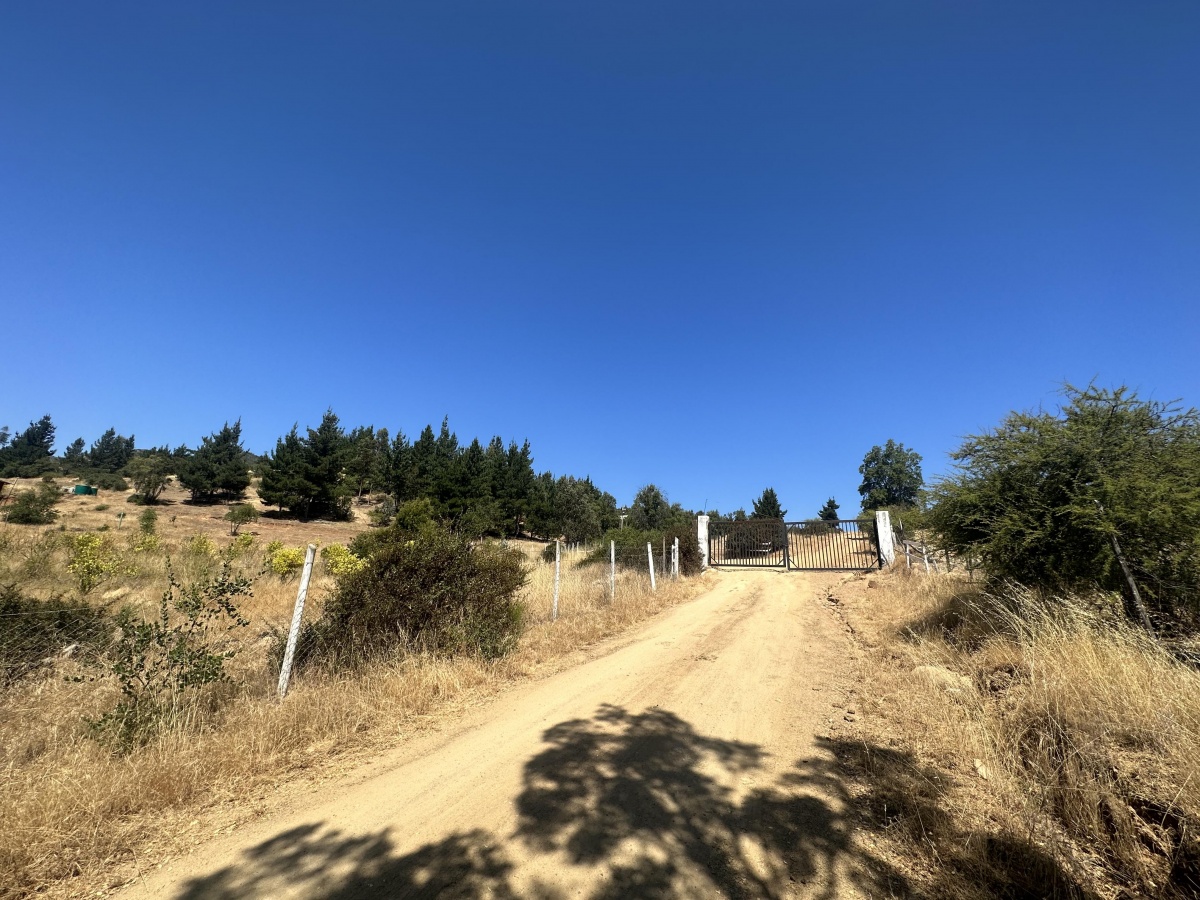 Venta Terreno Colchagua - O'Higgins