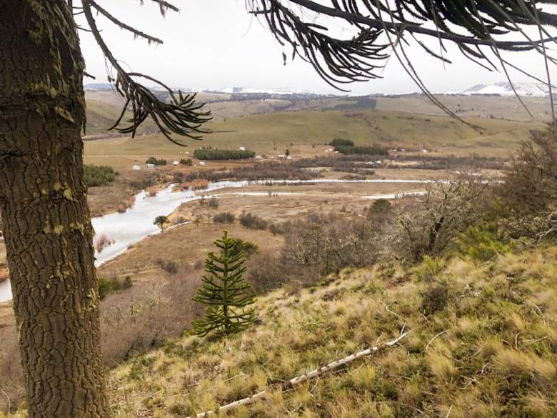 Venta Terreno Lonquimay - La Araucanía