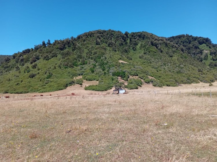 Venta Terreno Lebu - Biobío