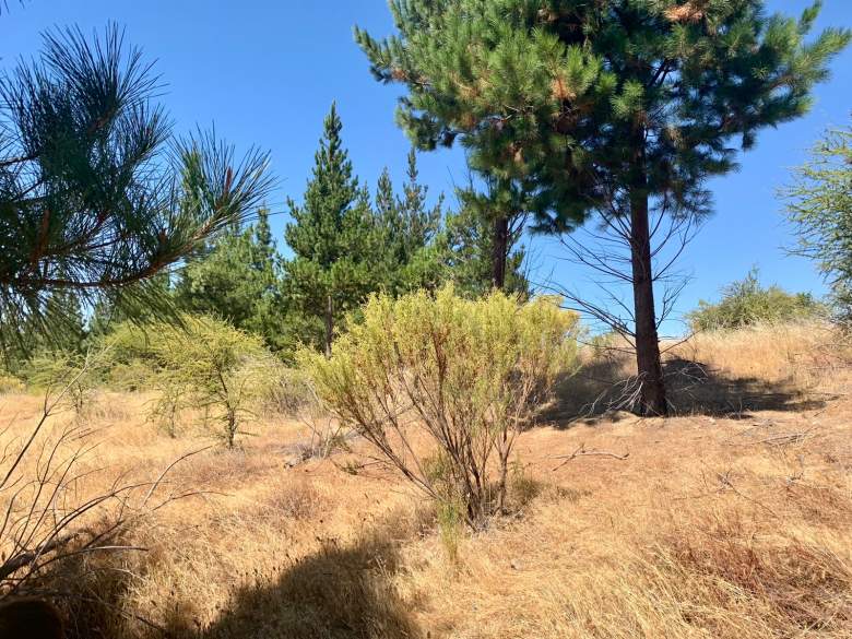 Venta Terreno Empedrado - Maule