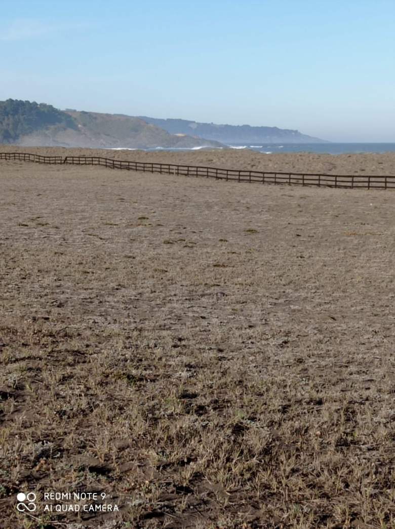 Venta Terreno Curanipe - Maule