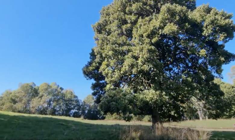 Venta Terreno La union - Los Ríos